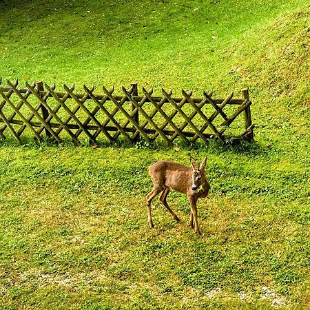 Art In Waldfrieden Apartment Semmering Exterior photo