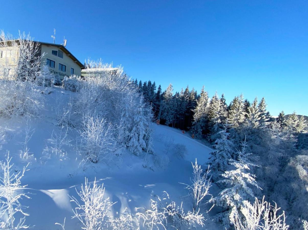 Art In Waldfrieden Apartment Semmering Exterior photo