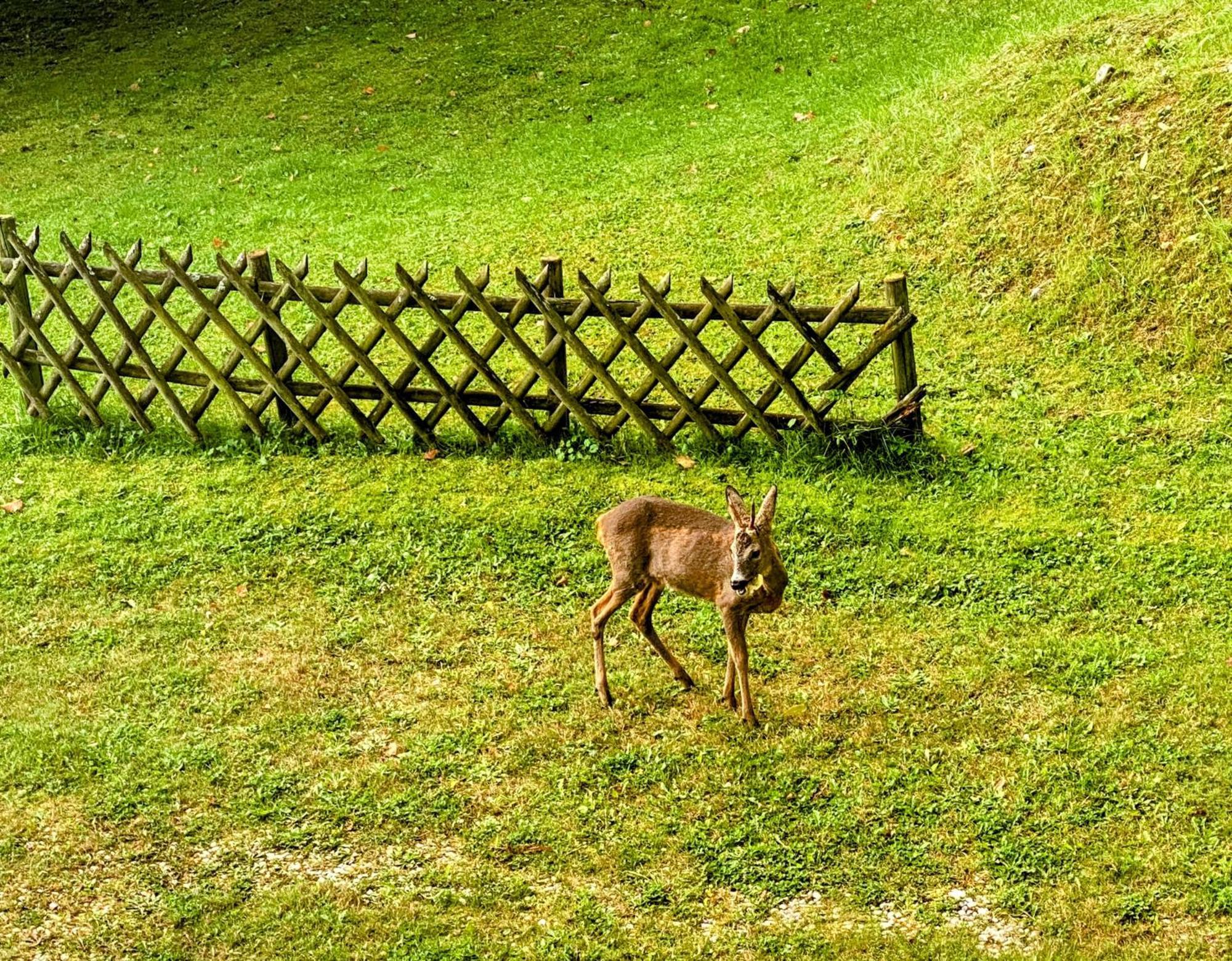 Art In Waldfrieden Apartment Semmering Exterior photo