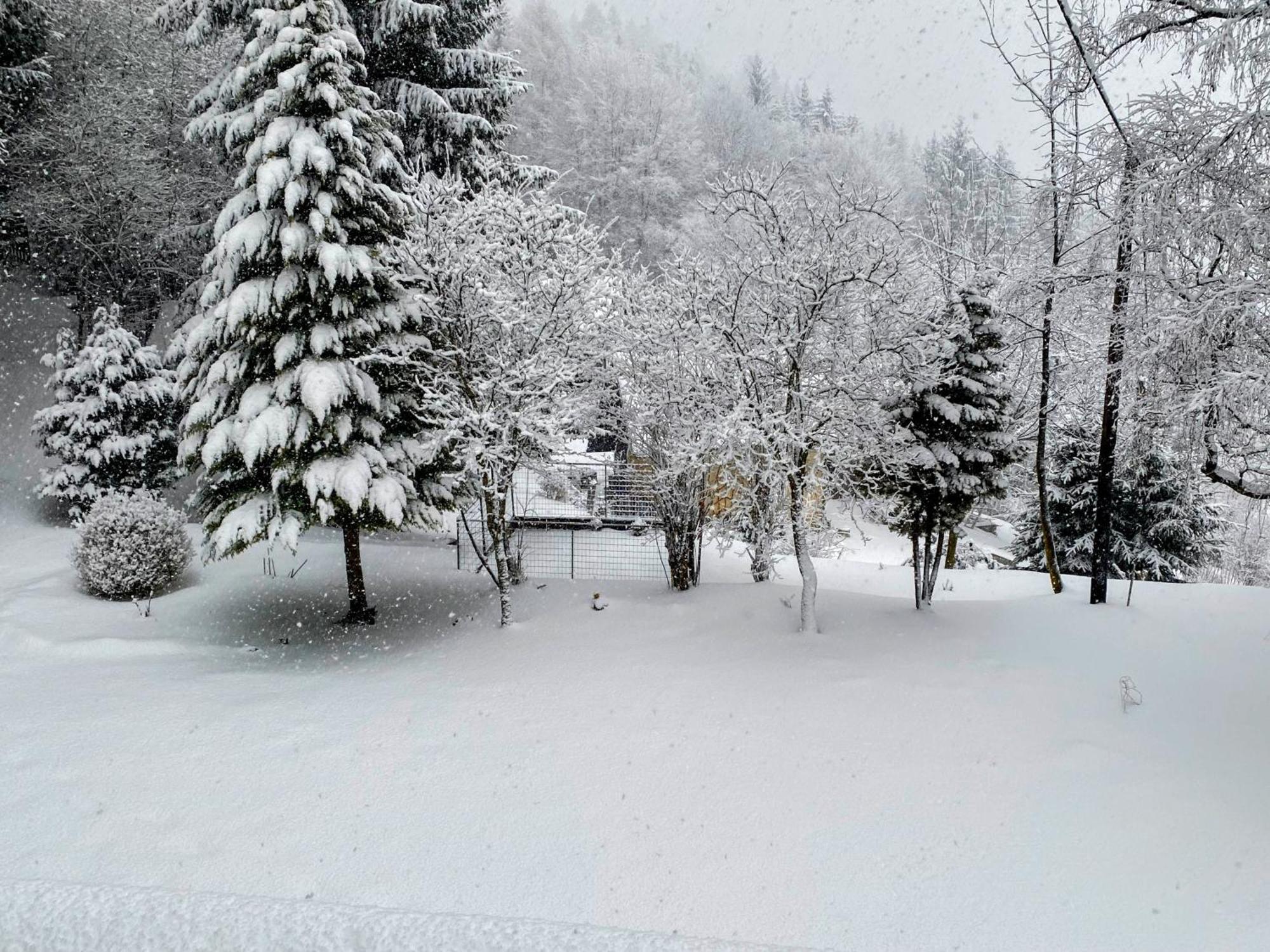 Art In Waldfrieden Apartment Semmering Exterior photo